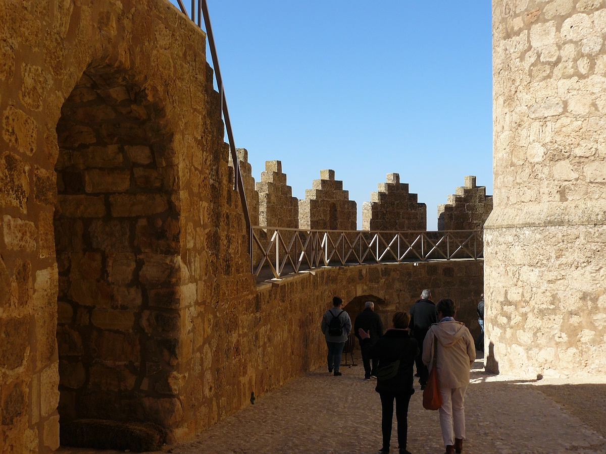 P1060503
