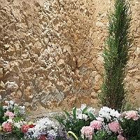 83