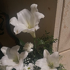 53
