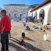 IMG-4250