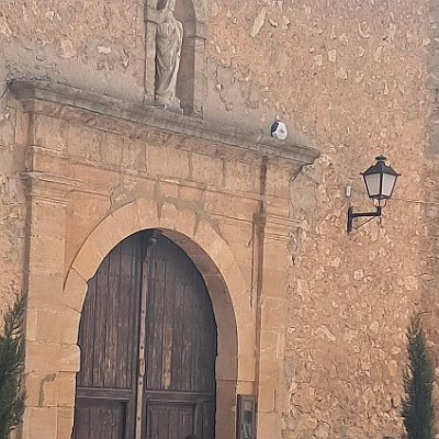 16