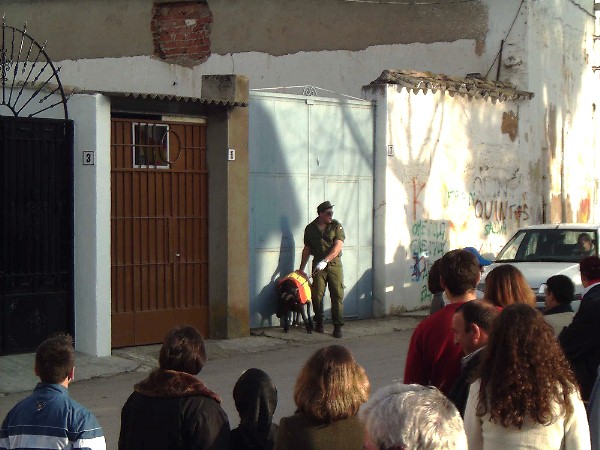 CARNACA4_11