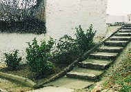 Escaleras del cerro del Castillo
