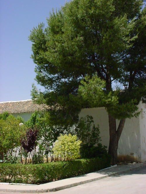 Jardines de la calle General Guzm&aacute;n