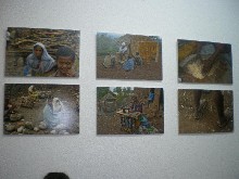 294940_402674463102123_1766152805_n